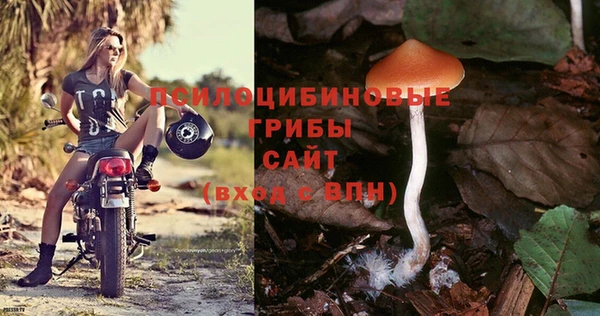бутират Краснотурьинск