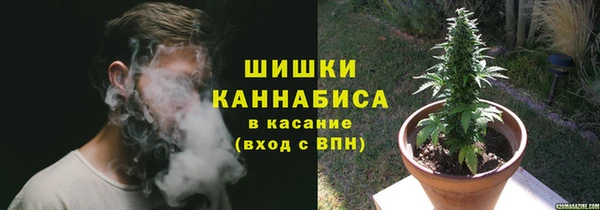 PSILOCYBIN Красноперекопск