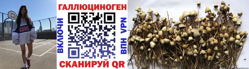 Псилоцибиновые грибы GOLDEN TEACHER  Купить где  Старый Крым 